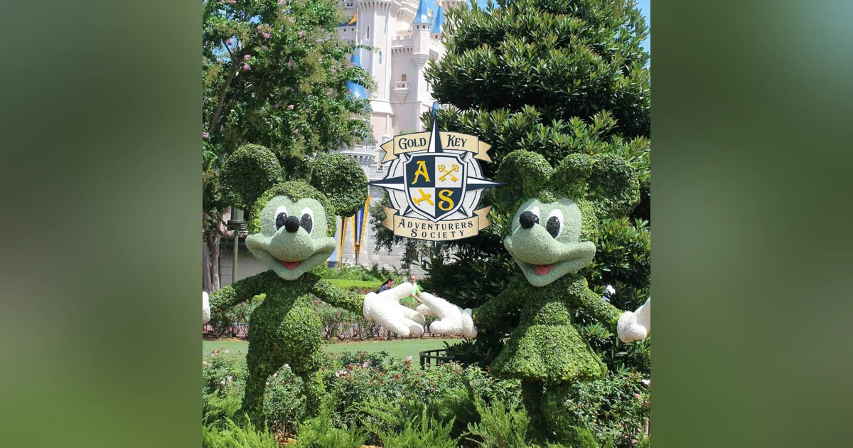 Theme Park Hide and Seek