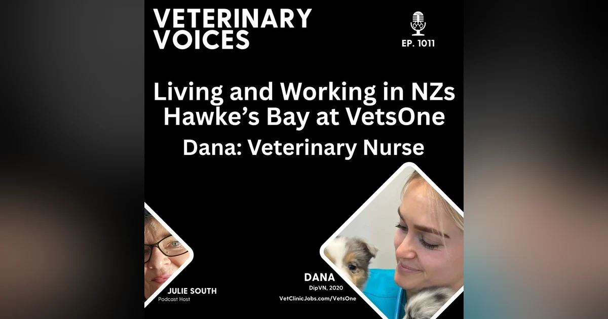 Vet Clinic Employer of Choice: VetsOne - Hawke's Bay NZ - Vet Nurse Dana | ep.1011