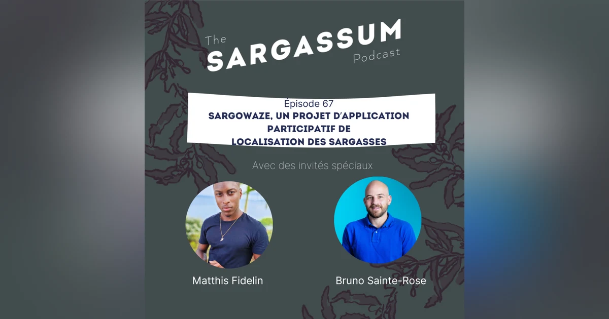 E67 Sargassum podcast avec Sargowaze, un projet d’application participatif de localisation des sargasses