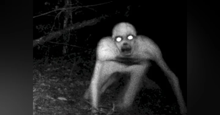 image for Real Rake Cryptid Sighting