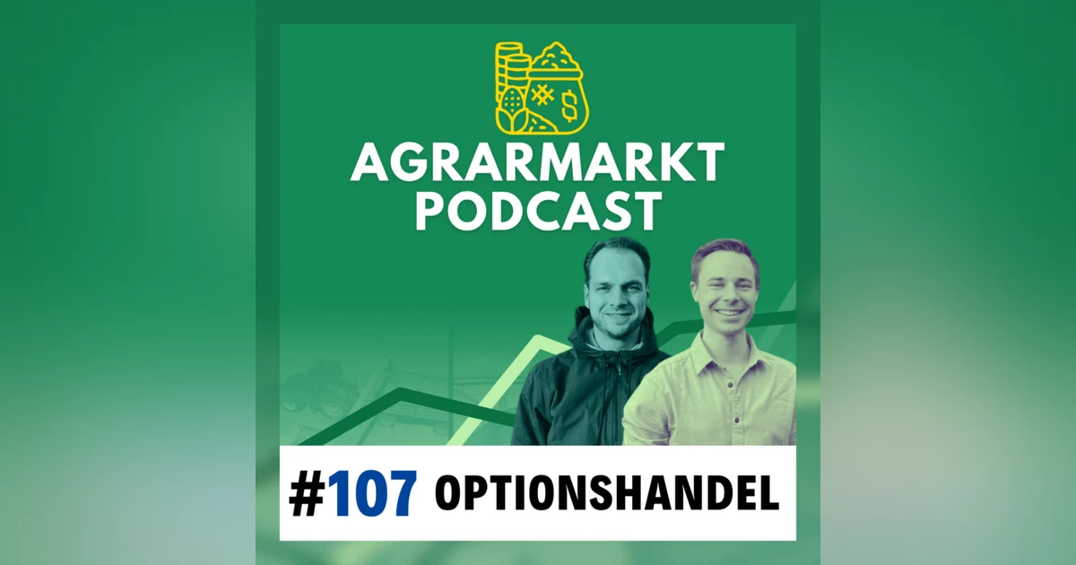 🔎 Absichern mit Optionen: Eierlegende Wollmilchsau? Wann sie Sinn machen & wann nicht