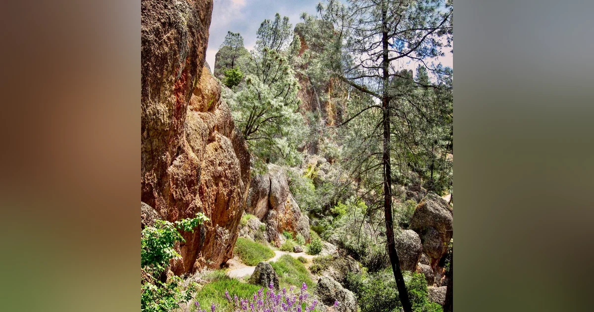 #79: Mailbag: Pinnacles National Park, and much more!