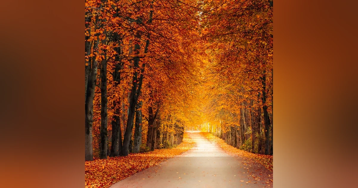 #91: Best National Parks to Visit in the Fall