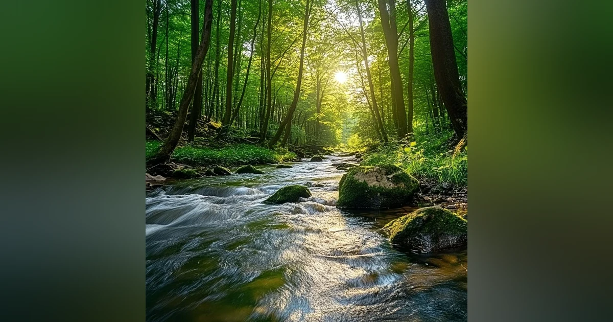 Forest River Nature Sounds - Gentle Stream with Birdsong | Relaxing Nature Ambience for Sleep