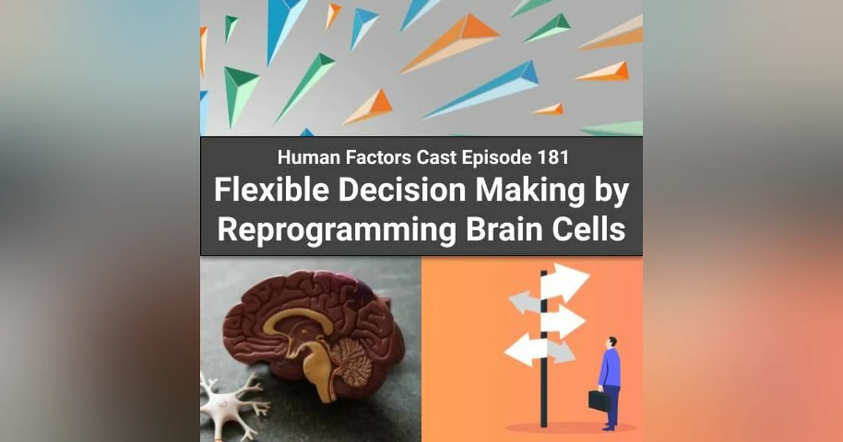E181 - Flexible Decision Making by Reprogramming Brain Cells