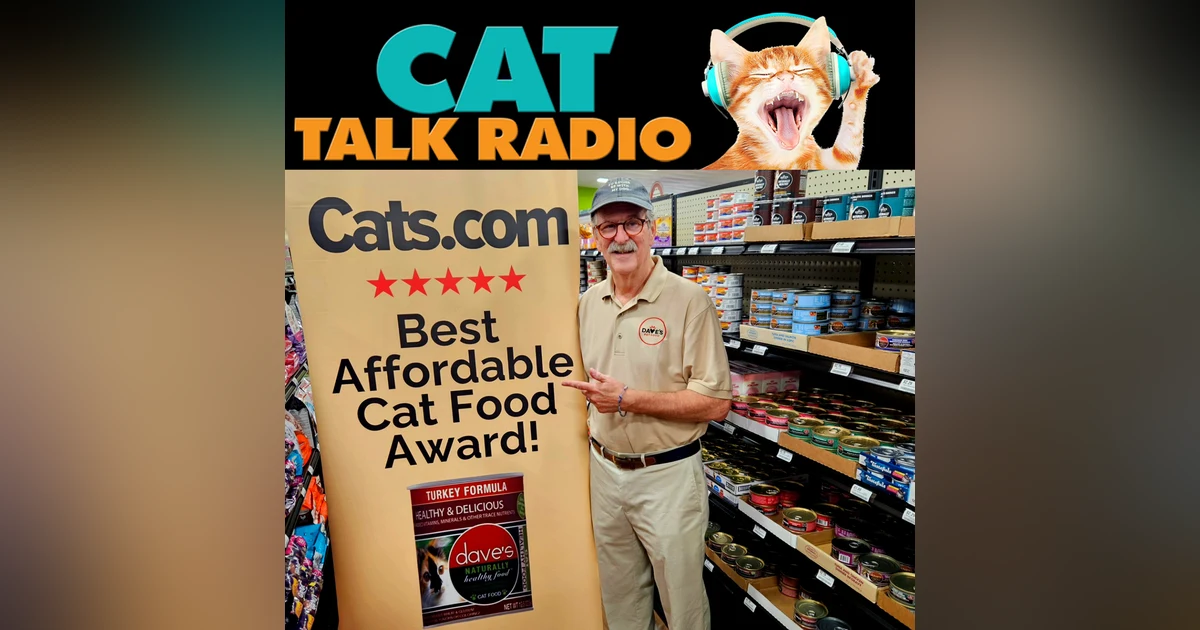 Feeding Cats Right: Affordable Nutrition Without Compromise - A Conversation with Dave Ratner