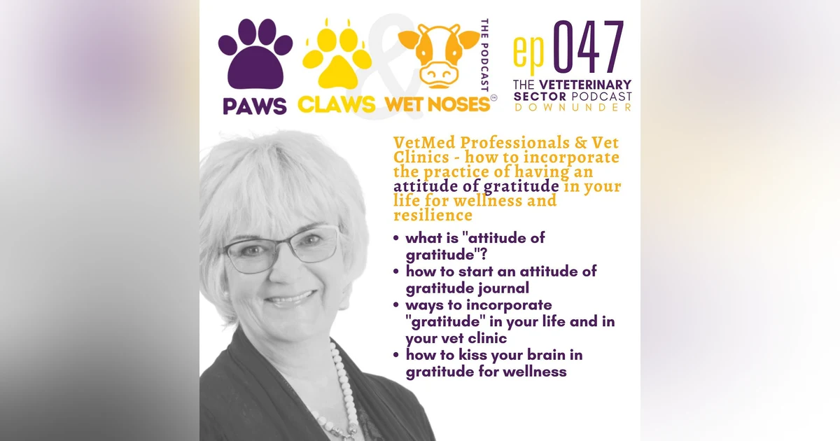 vets and vet clinics - attitude of gratitude + kiss your brain in gratitude for wellness
