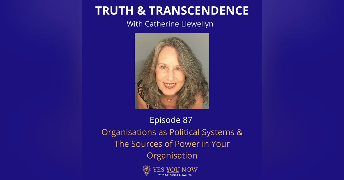 Ep 87: Organisations as Political Systems & The Sources of Power in Your Organisation