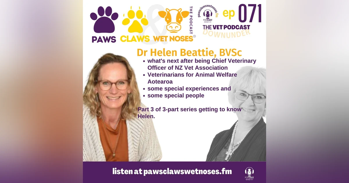 Veterinarian Dr Helen Beattie - Veterinarians for Animal Welfare Aotearoa - life after the NZ Veterinary Association - part 3 of 3