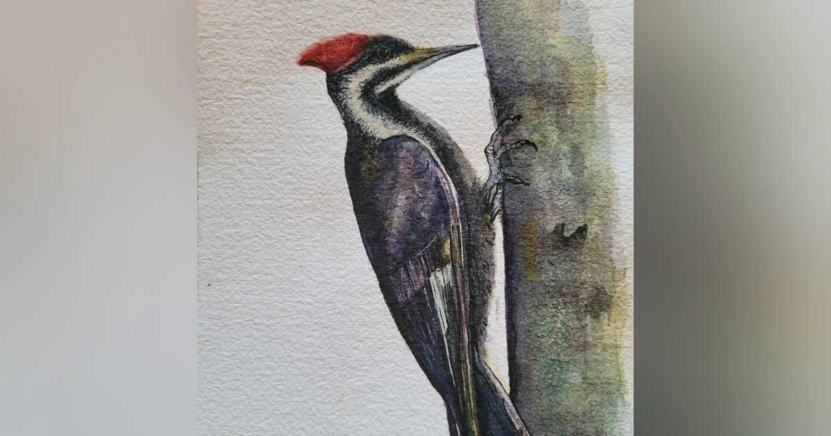 Woodpeckers
