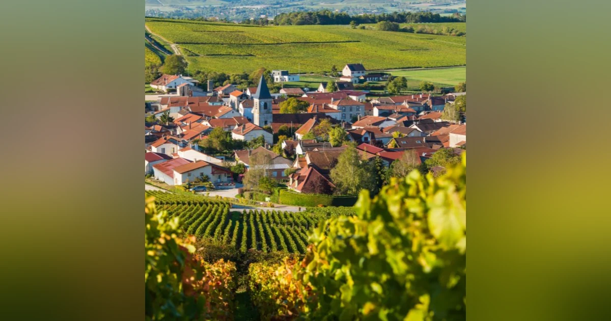 Aftermarket Bubbles: The Story of Champagne (Part 1) - with Jenz