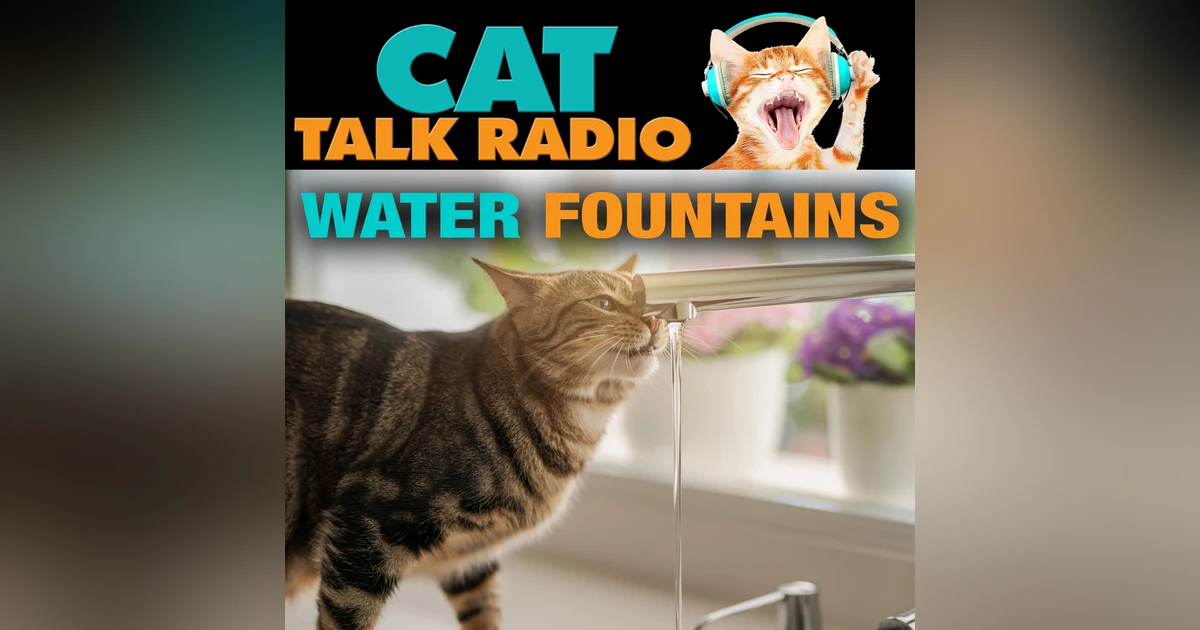Water Fountains for Cats: Helpful Hydration or High-Maintenance Headache?