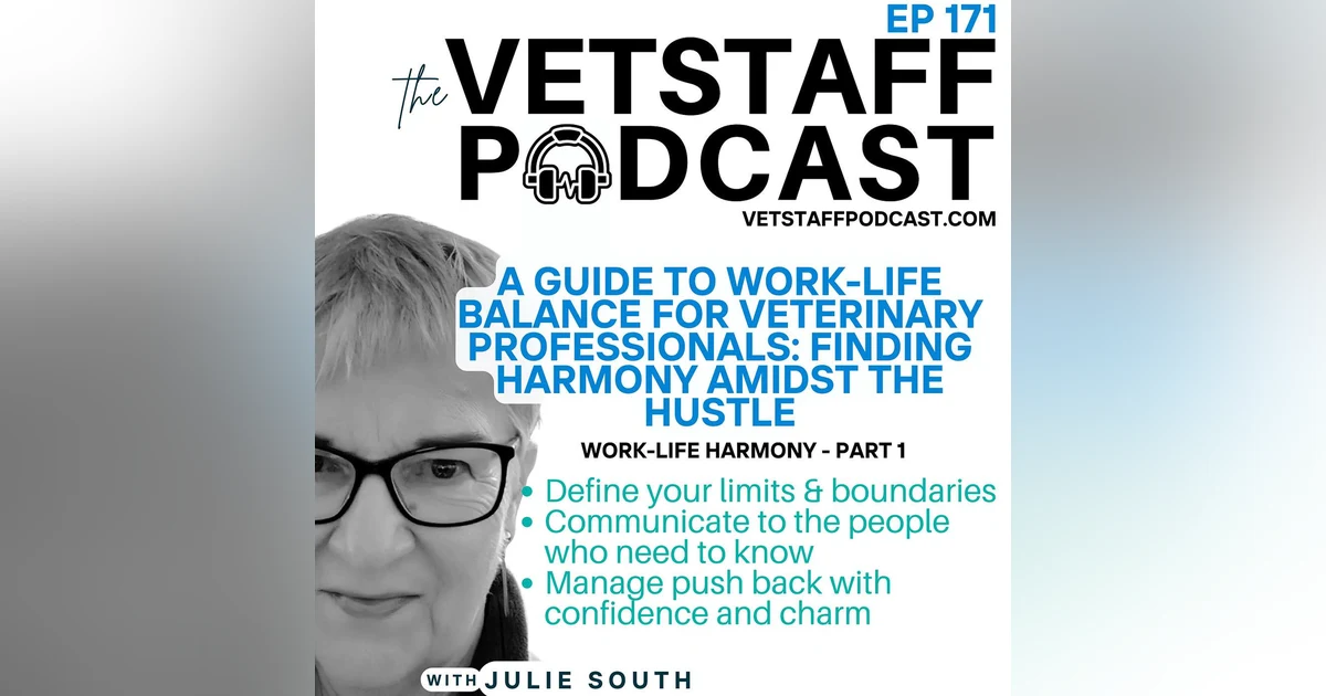 A Guide to Work-Life Harmony for Veterinary Professionals: Finding Harmony Amidst the Hustle - pt 1/4 - ep 171
