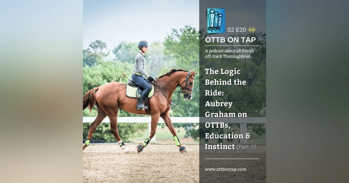 S2 E20: The Logic Behind the Ride — Aubrey Graham on OTTBs, Education & Instinct (Part 1)