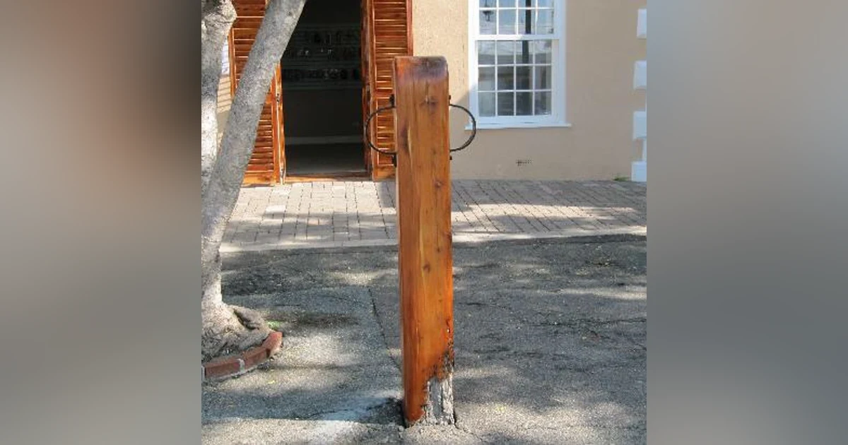 The whipping Post part 5