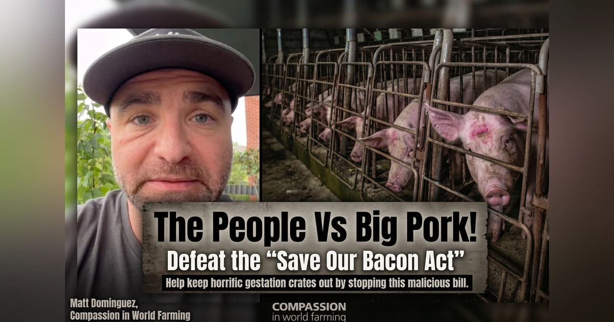 STOP The Save Our Bacon Act NOW!