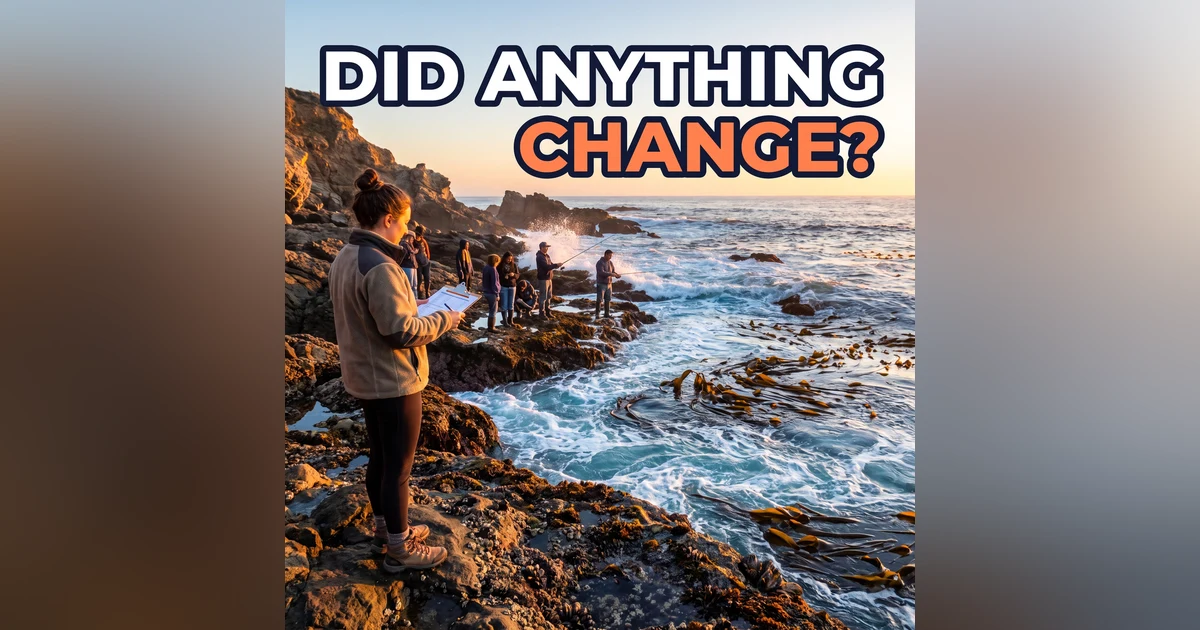 You Left a Public Comment. Now What?