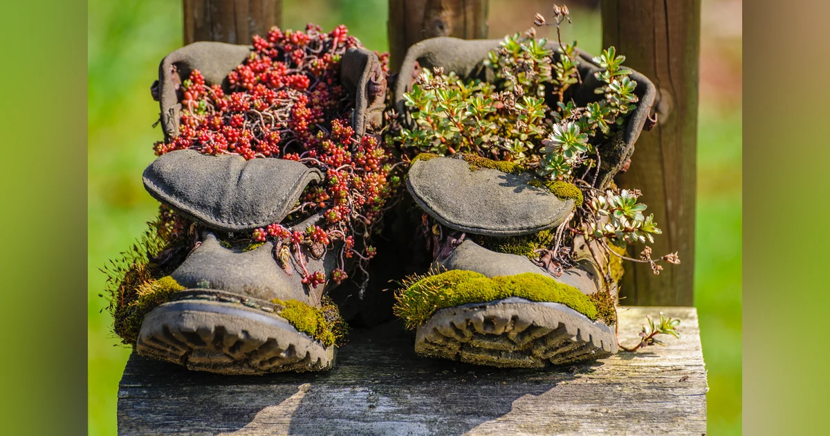 Episode 54: How Long Do Shoes Last?