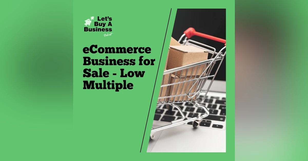 eCommerce Business for Sale - Low Multiple