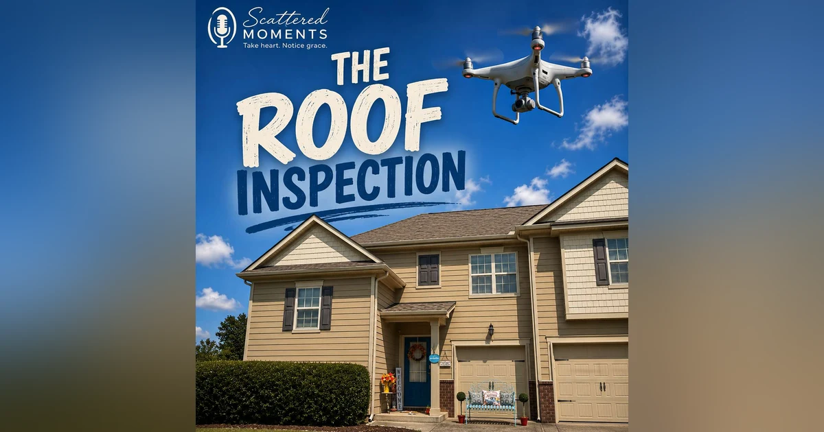 The Roof Inspection