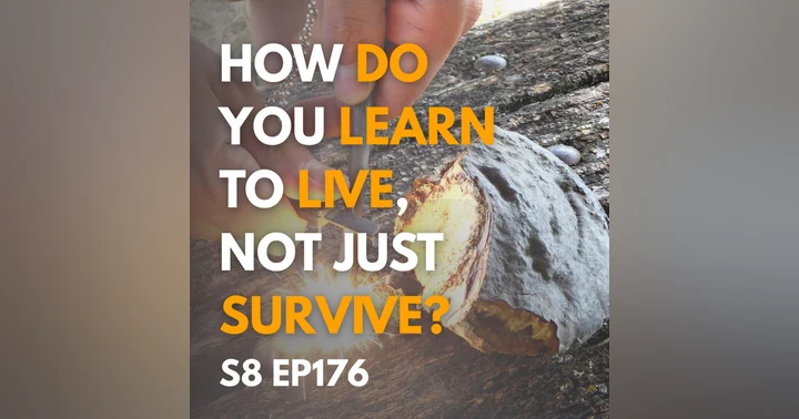 image for Beyond survival mode: Why comfort still feels risky when you've made good money