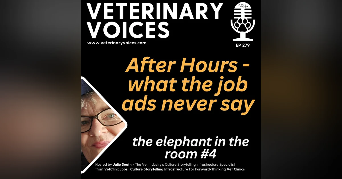 After Hours - What The Job Ad Never Says - 279