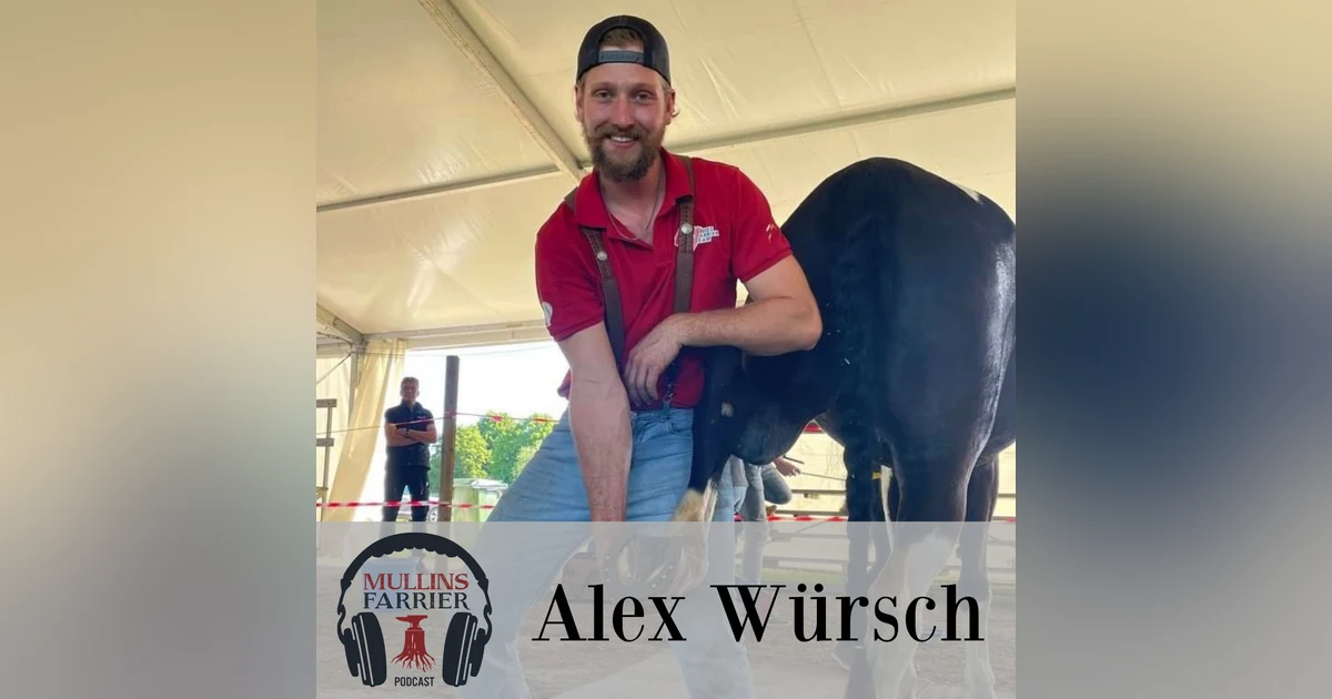 Alex Würsch