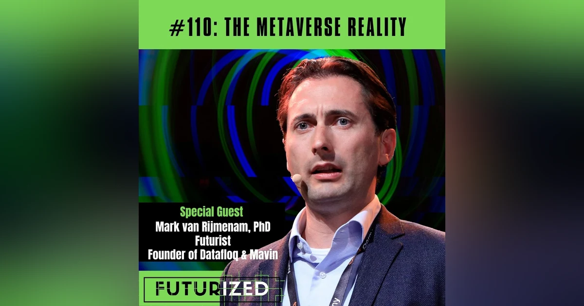 The Metaverse Reality