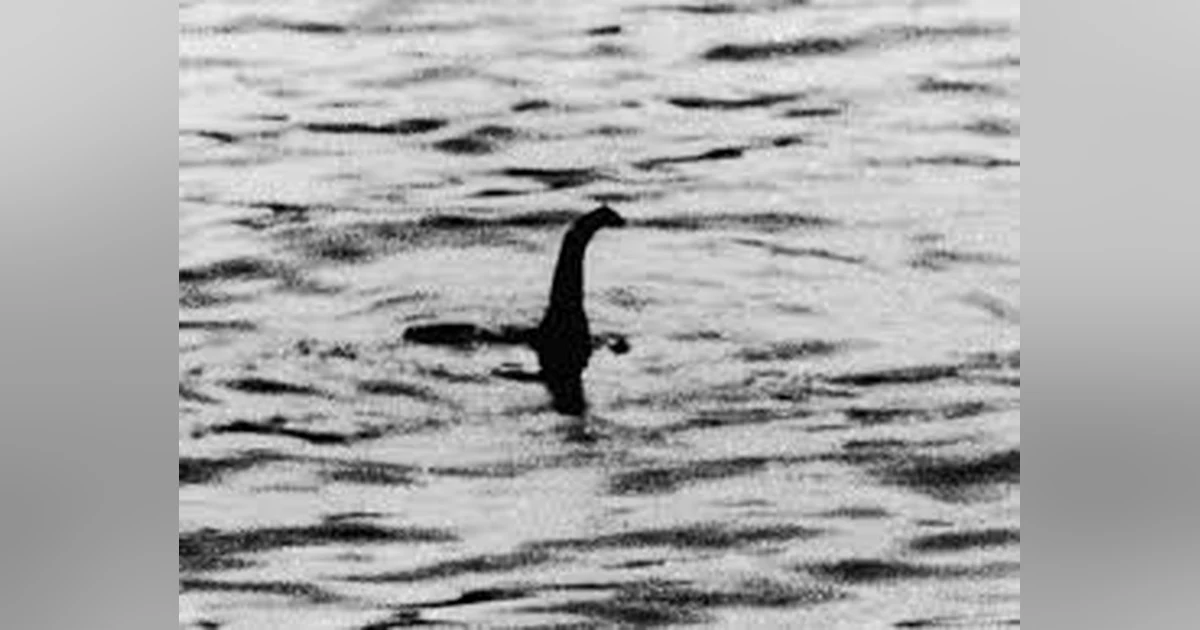 IN SEARCH OF THE LOCH NESS MONSTER