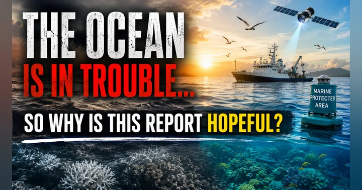 image for The Ocean Is in Trouble, So Why Is There Hope?