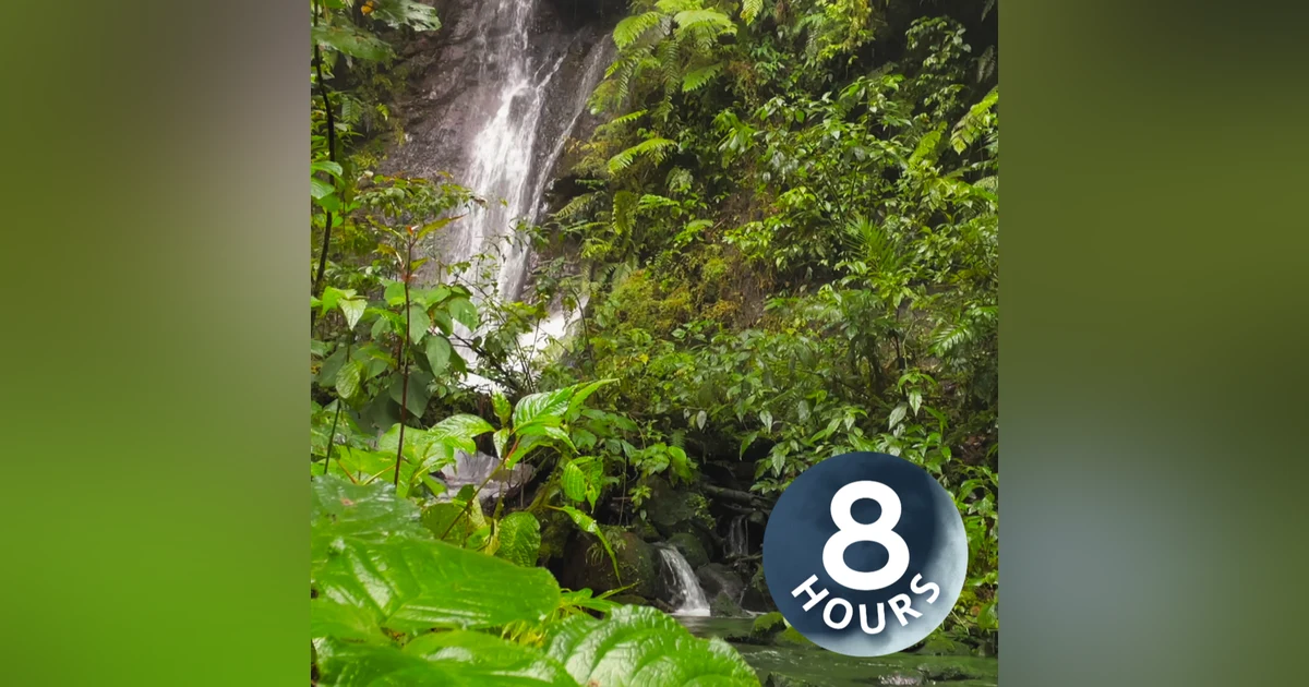 Waterfall White Noise and Nature Ambience | 8 Hour Sleep Sounds
