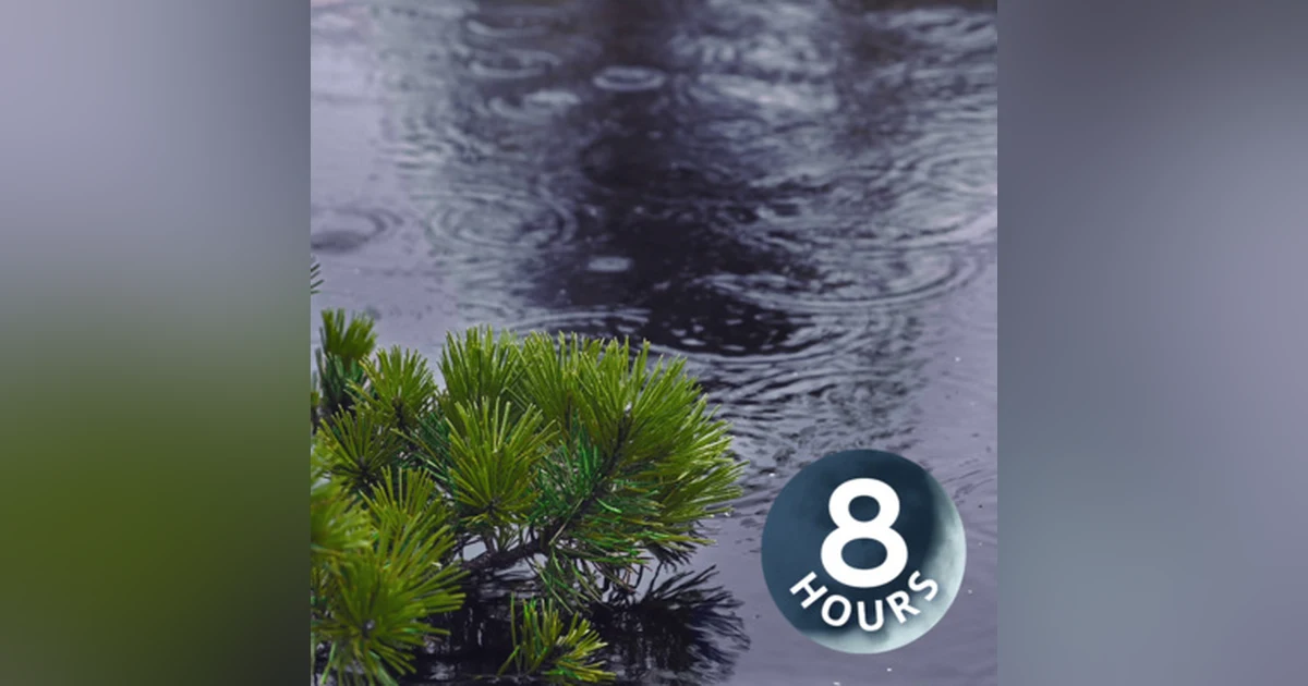 Rain Falling on Pond with Rolling Thunder 8 Hours | Natural White Noise for Relaxation and Sleep
