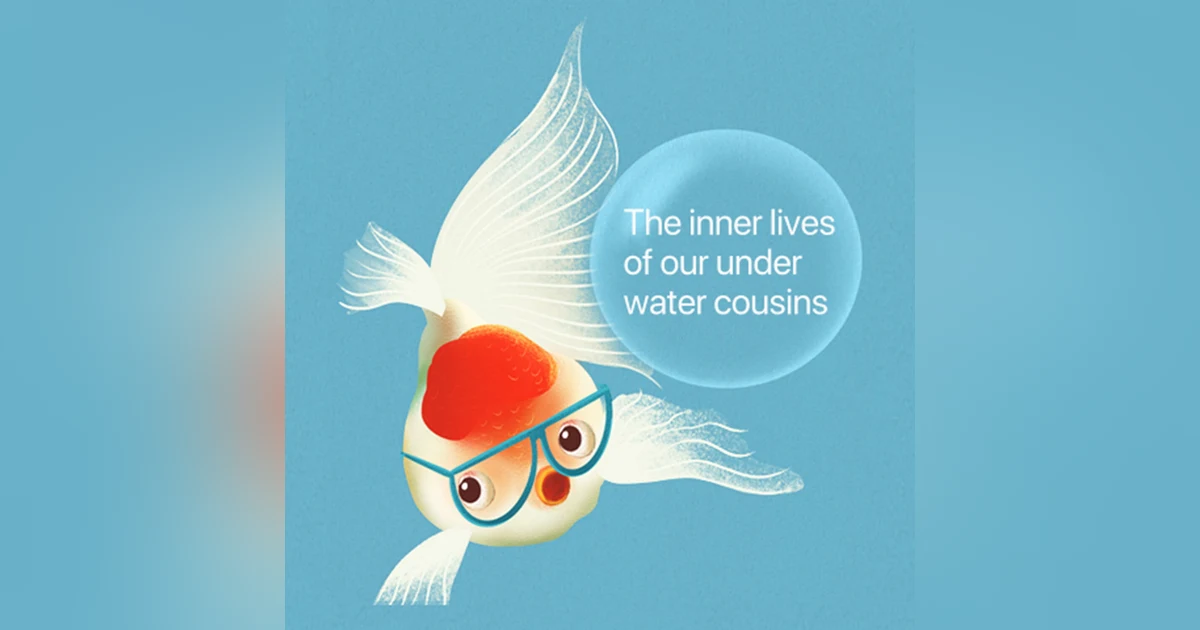 What a Fish Knows: Unlocking the Underwater World