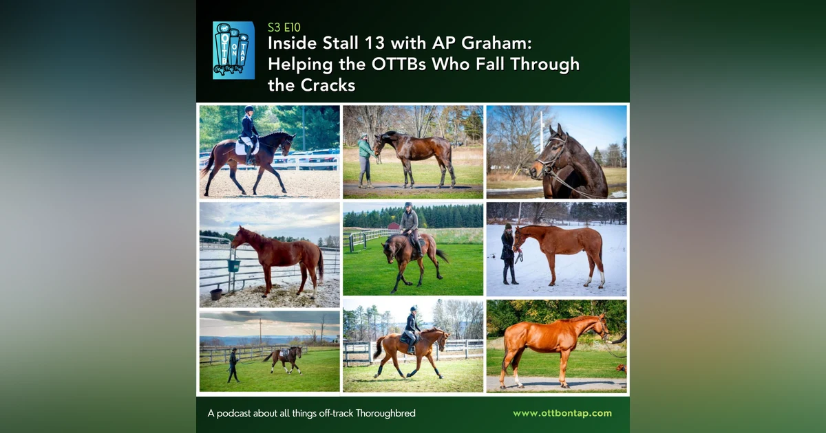 S3 E10: Inside Stall 13 with AP Graham: Helping the OTTBs Who Fall Through the Cracks