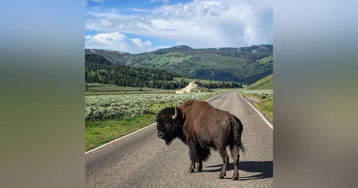#20: Scenic Drives Through Public Lands