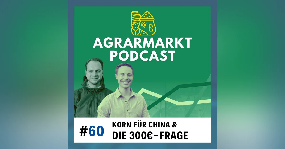Die 300€-Frage