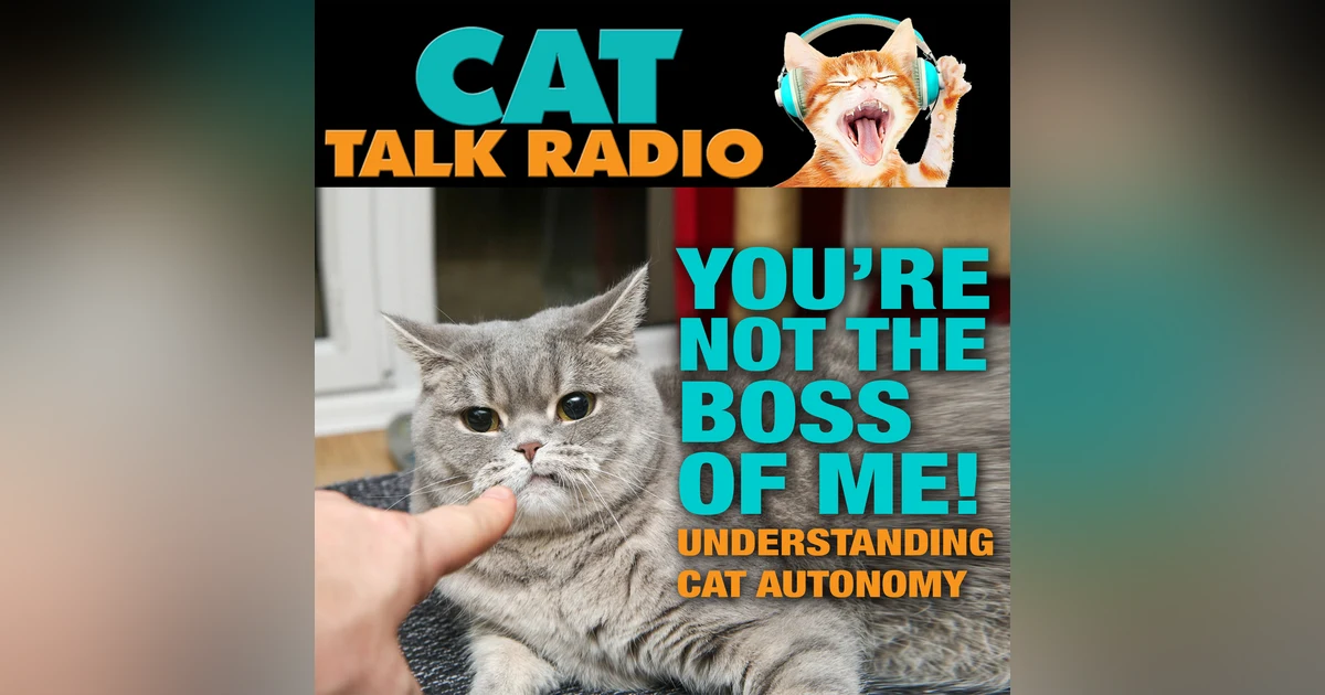 You’re Not the Boss of Me: Understanding Cat Autonomy