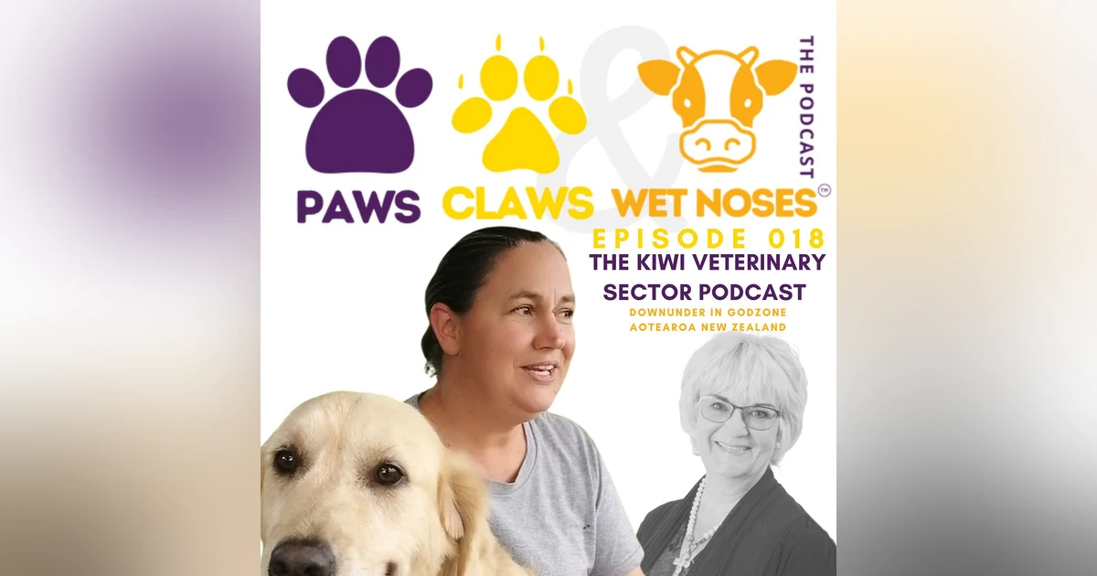 018 - Dr Jasmin Klocker | Open Letter CVE & AVA | veterinary shortage | some solutions