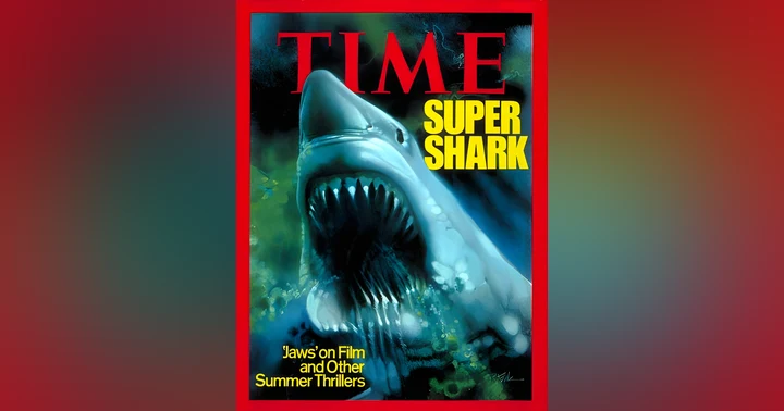 image for Summer of the Shark