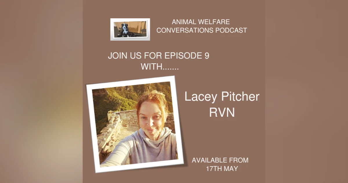 Episode 9 - Veterinary Nursing with Lacey Pitcher
