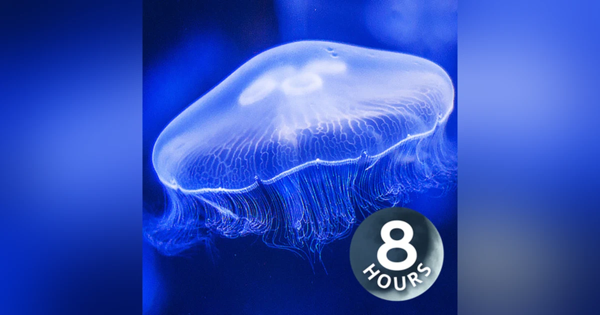 Water Sounds Jellyfish Aquarium 8 Hours (Best with Headphones) I Underwater White Noise for Relaxation