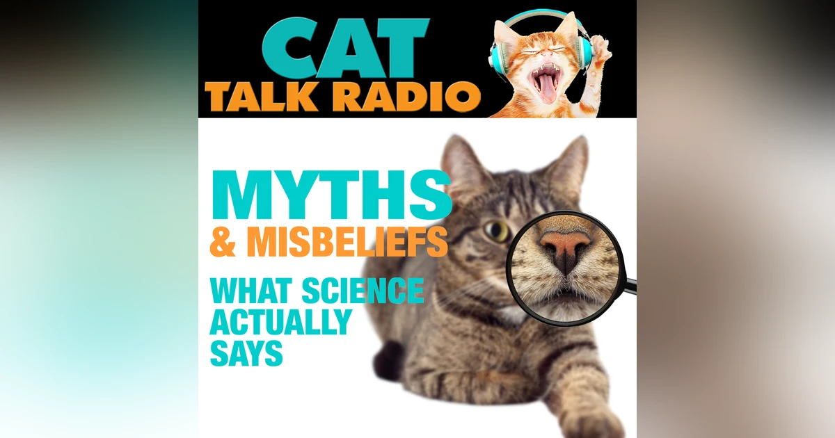 Cat Myths, Misbeliefs & What Science Actually Says