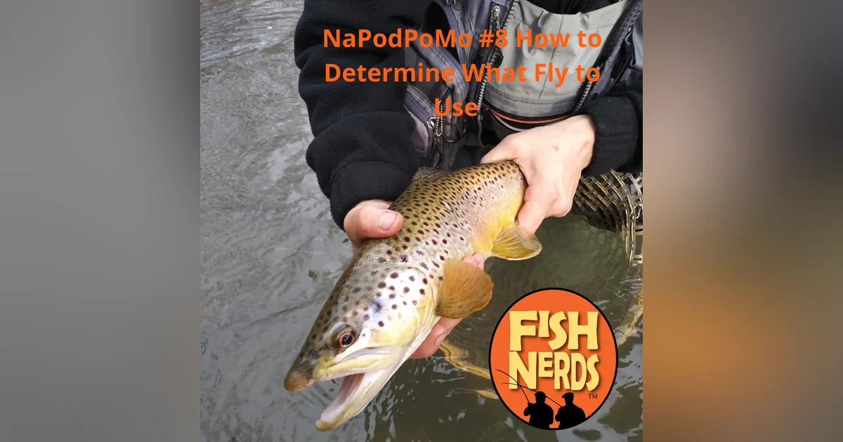 NaPodPoMo 8 How to Determine What Fly to Use