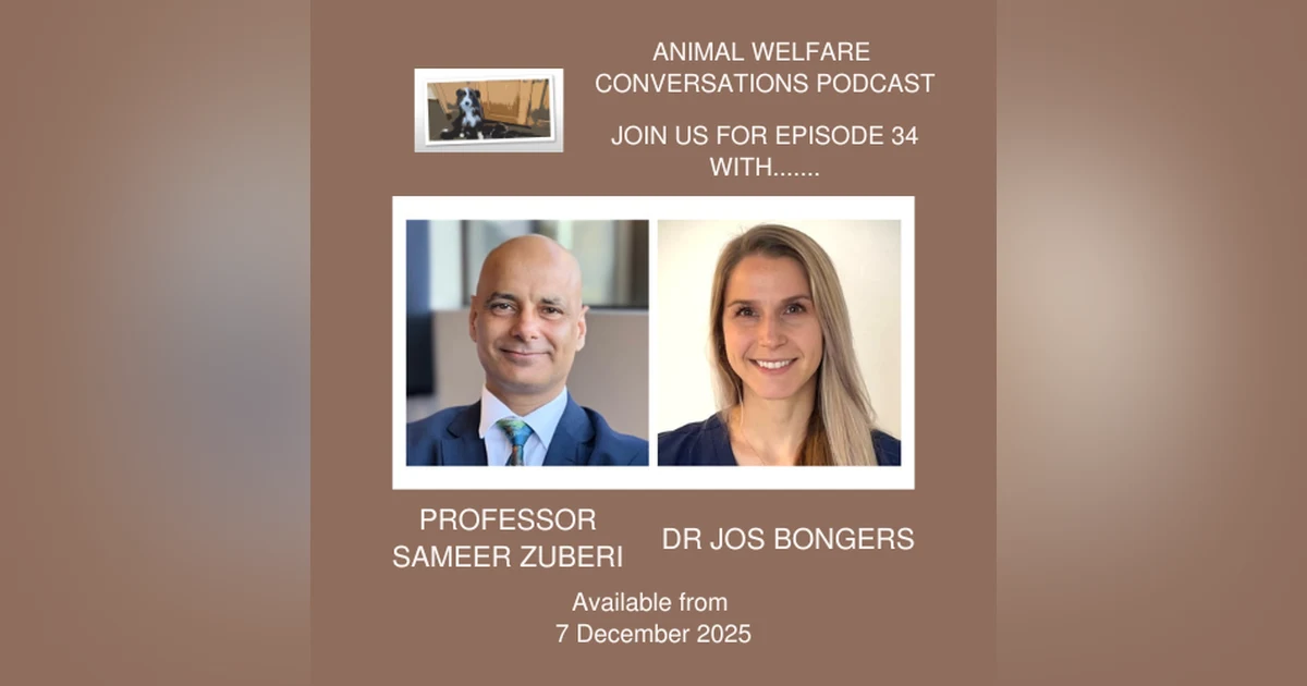 Epilepsy in Veterinary and Human Healthcare