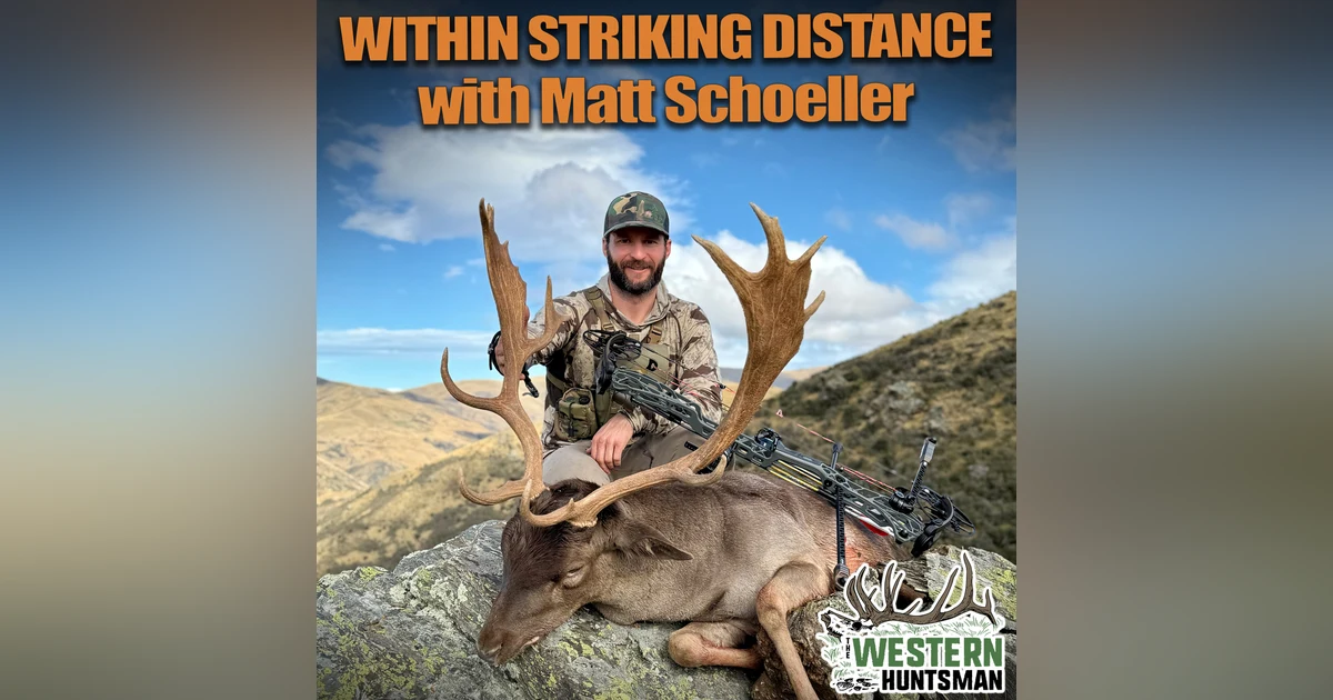 Within Striking Distance with Matt Schoeller