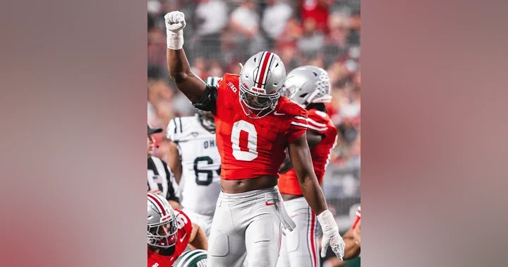 image for Top 50 IDP Rookie Rankings (Preseason Edition)