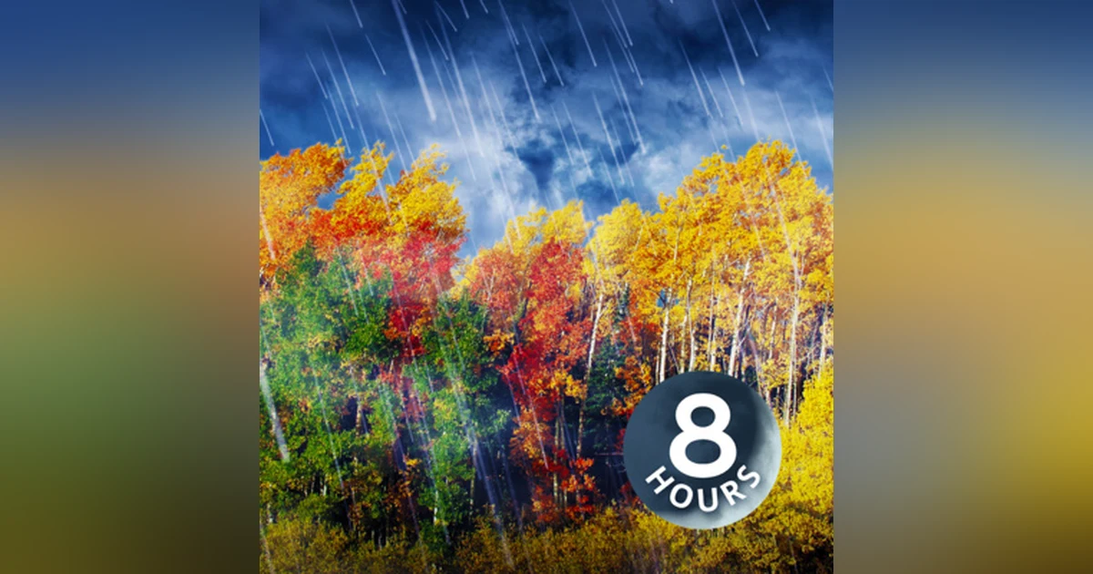 Sleep To Rain & Wind White Noise 8 Hours