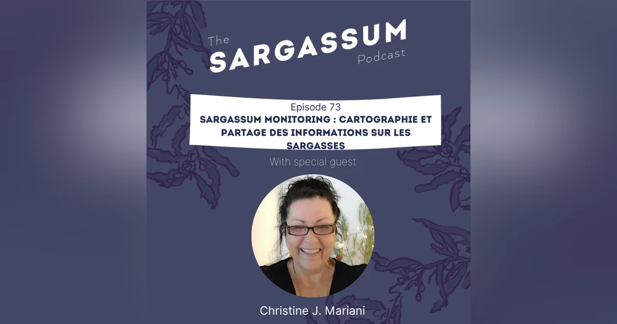 E73 Sargassum monitoring : cartographie et partage des informations sur les sargasses