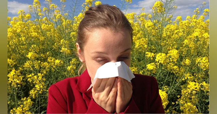 image for Decongestants