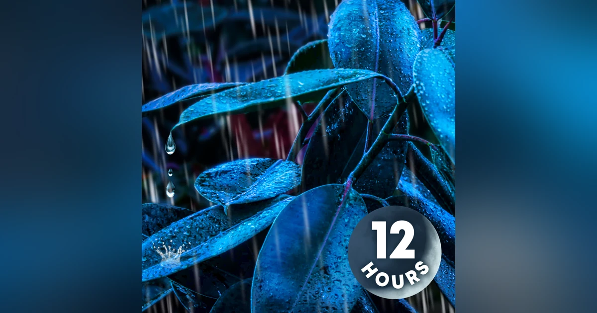 Heavy Rain Noise for Sleeping | 12 Hour Rainforest Sounds for Deep Sleep